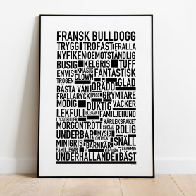 Fransk Bulldogg Poster