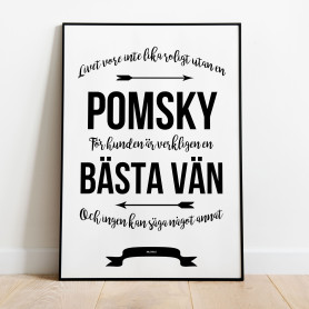 Livet Med Pomsky