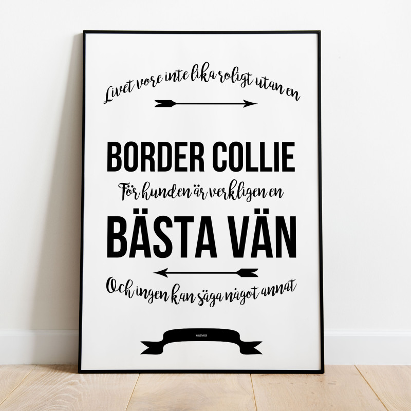 Livet Med Border Collie