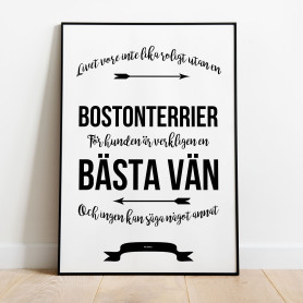 Livet Med Bostonterrier