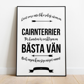 Livet Med Cairnterrier