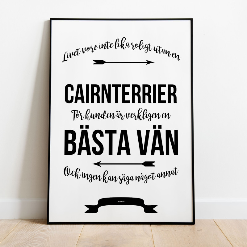 Livet Med Cairnterrier