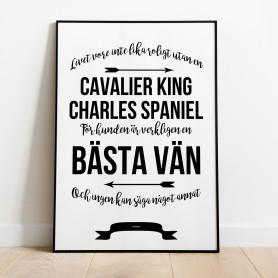 Livet Med Cavalier King Charles Spaniel