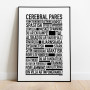 Cerebral Pares Poster