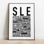 SLE Poster