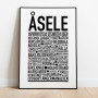 Åsele 2024 Poster
