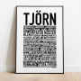 Tjörn Poster