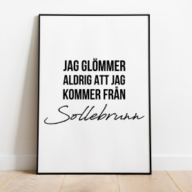 Från Sollebrunn