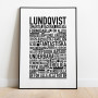 Lundqvist Poster