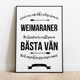 Livet Med Weimaraner