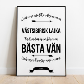 Livet Med Västsibirisk Lajka