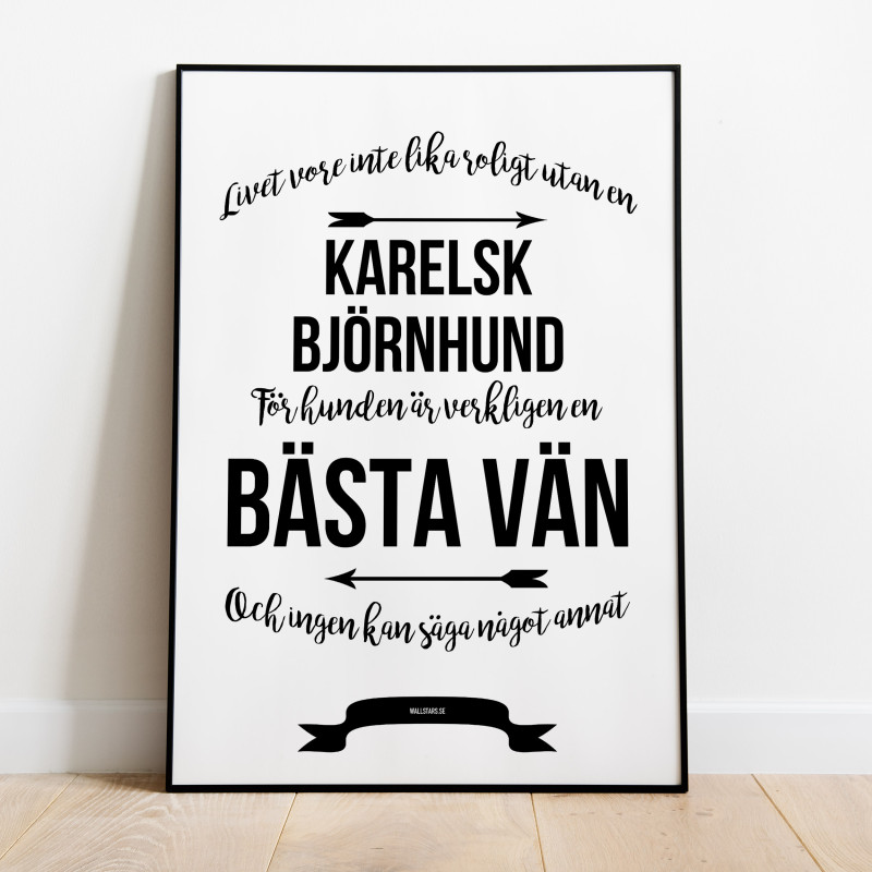 Livet Med Karelsk Björnhund