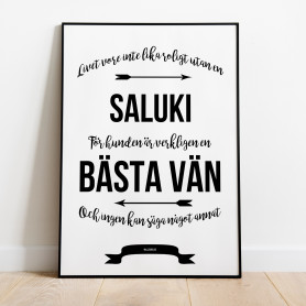 Livet Med Saluki