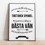 Livet Med Tibetansk Spaniel