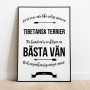 Livet Med Tibetansk Terrier