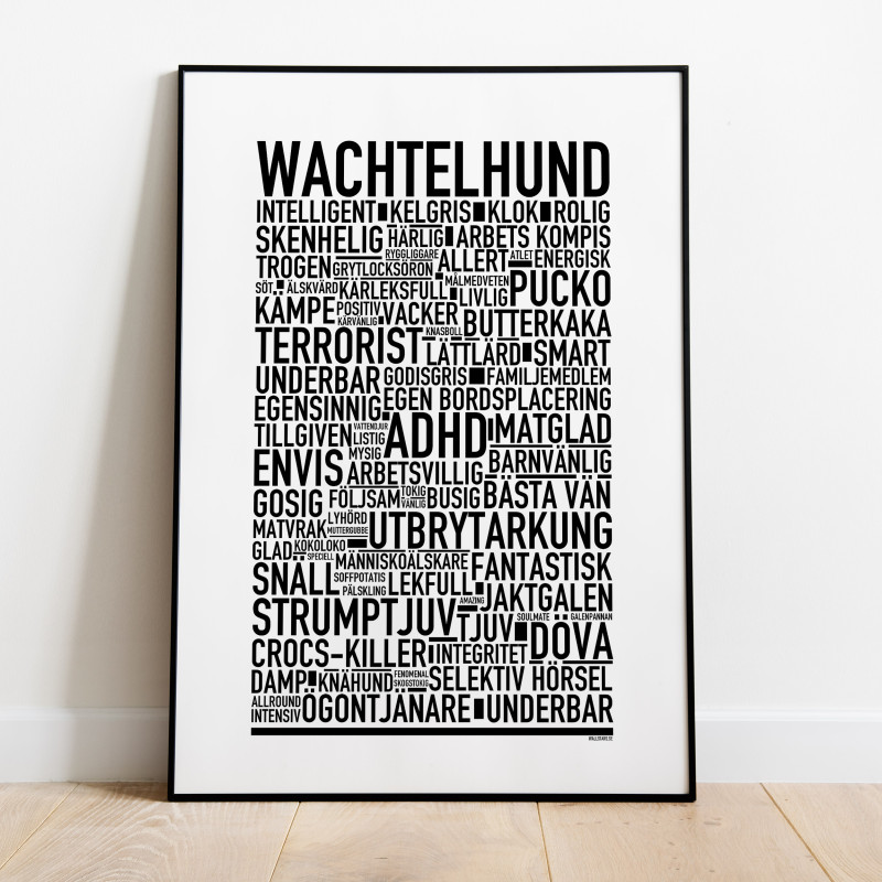 Wachtelhund 2026 Poster