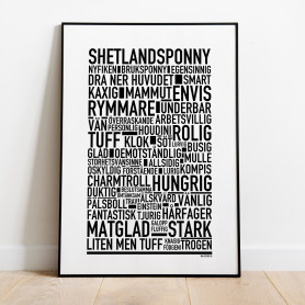 Shetlandsponny 2026 Poster
