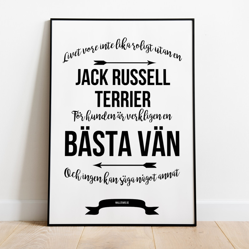 Livet Med Jack Russell Terrier