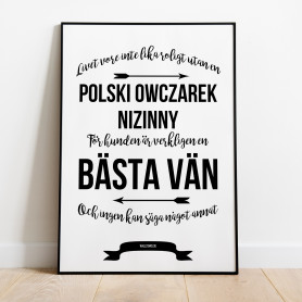 Livet Med Polski Owczarek Nizinny