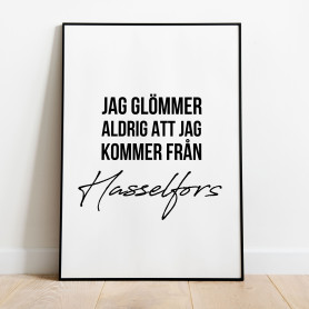Från Hasselfors