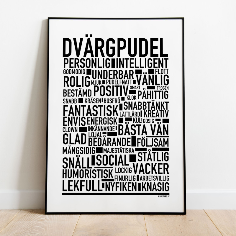 Dvärgpudel Poster