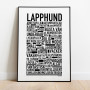 Lapphund Poster
