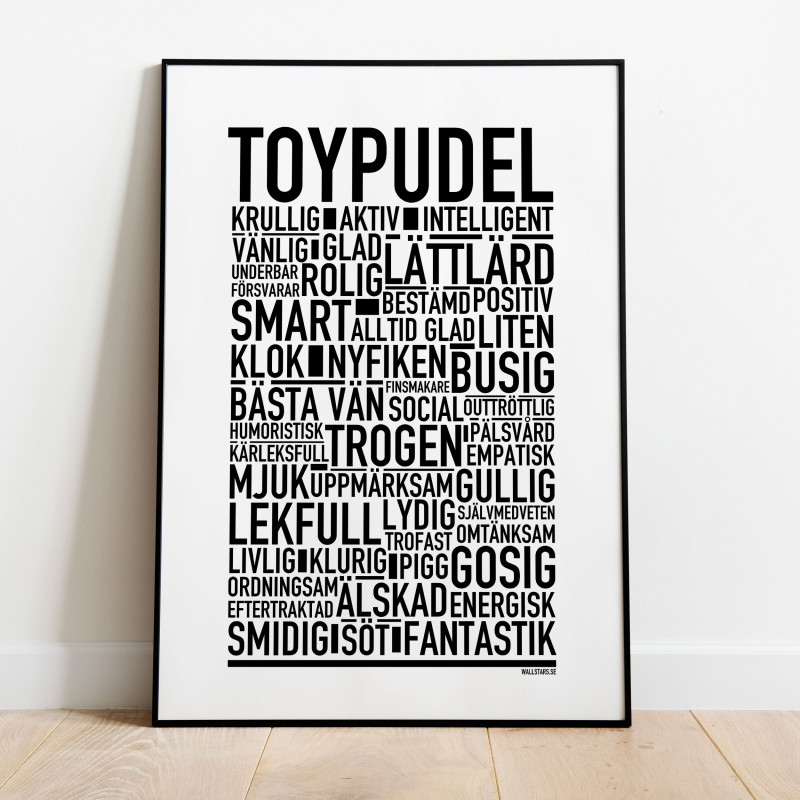 Toypudel Poster
