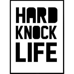 Hard Knock Life 