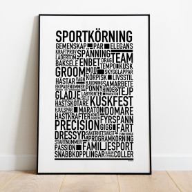 Sportkörning Poster
