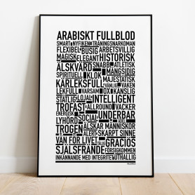 Arabiskt Fullblod Poster