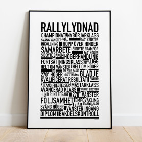 Rallylydnad Poster