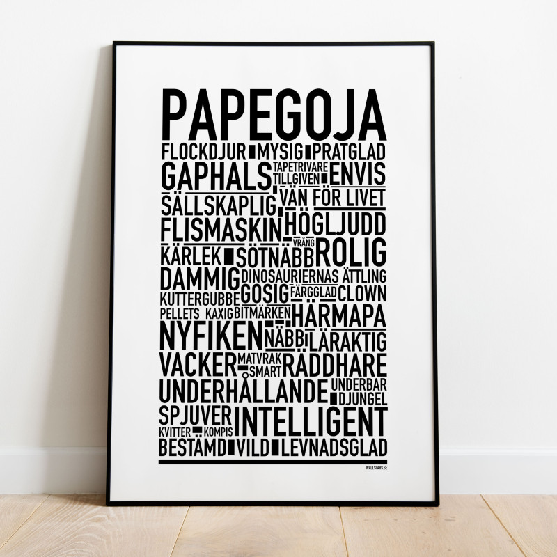 Papegoja 2025 Poster