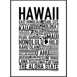 Hawaii Poster