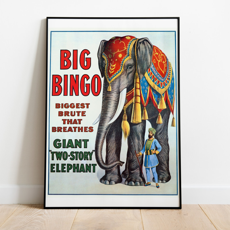 Big Bingo Elefant 1916 Vintage Poster