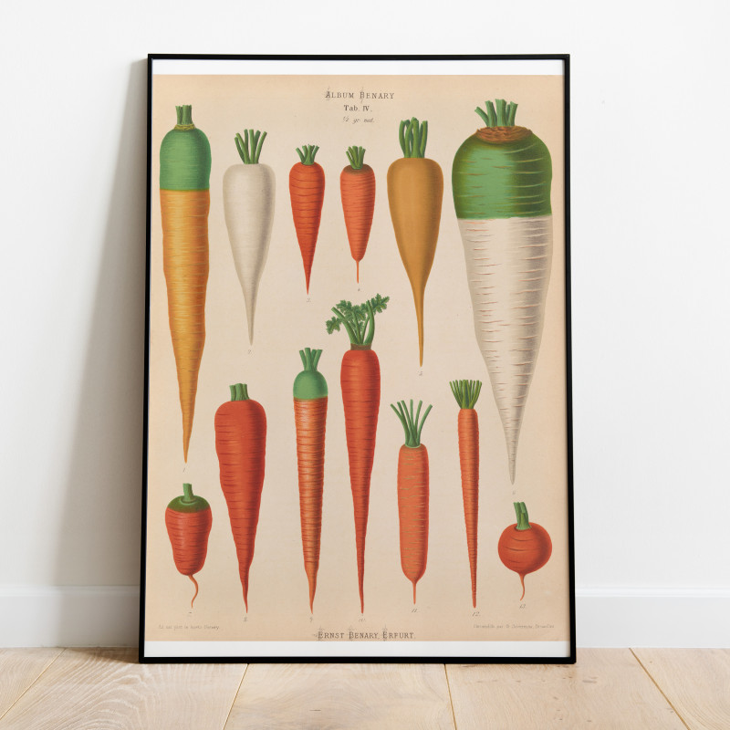Ernst Benary Morötter Poster