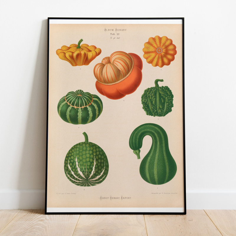 Ernst Benary Pumpor Poster