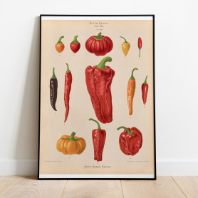 Ernst Benary Tomater Poster