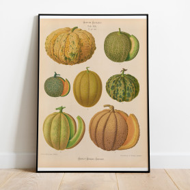 Ernst Benary Meloner Poster