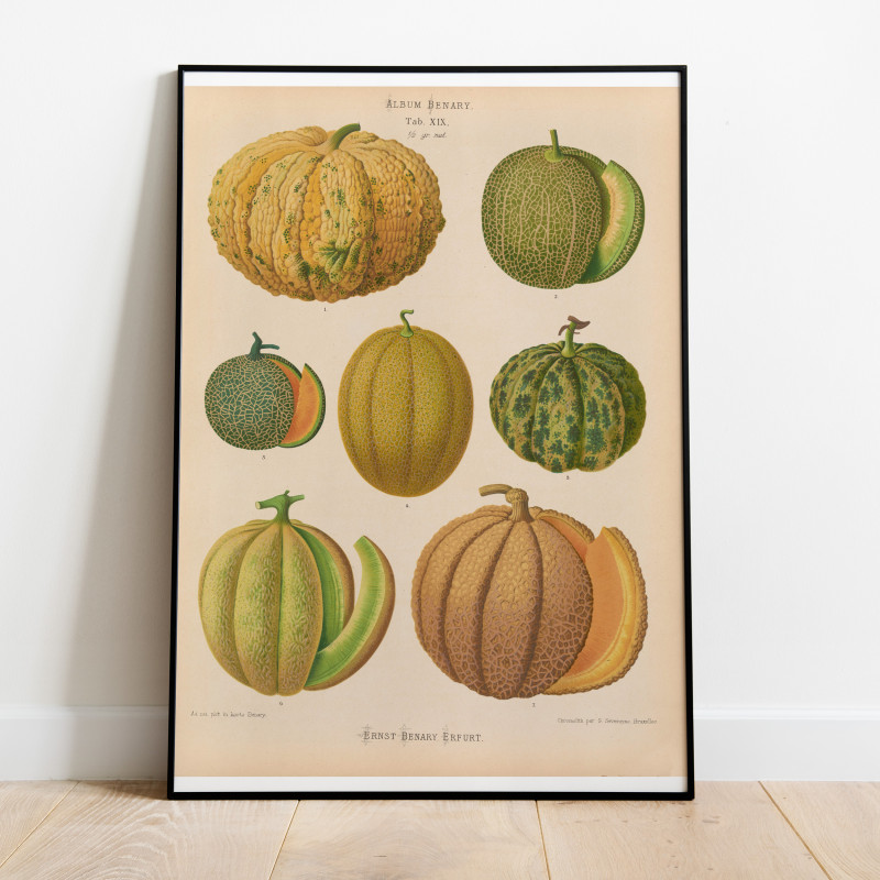 Ernst Benary Meloner Poster