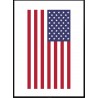 USA Flagga poster